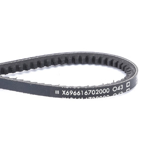 AGCO | V-Belt | AG-X696616702000