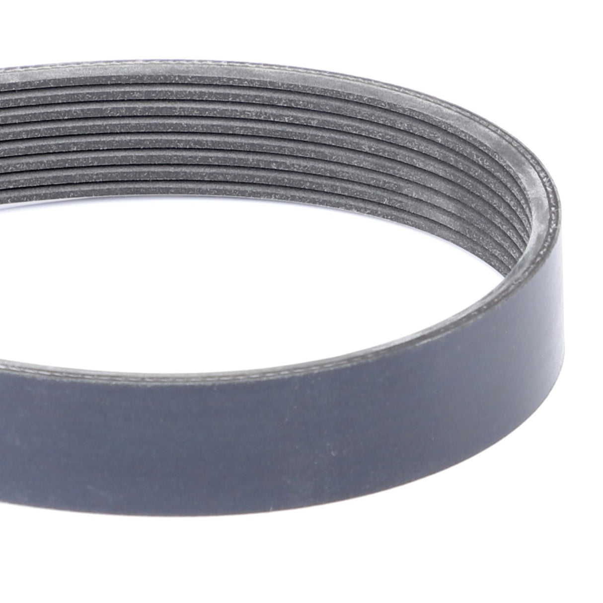 AGCO | Serpentine Belt, Pk8 Profile | AG-4273188M1