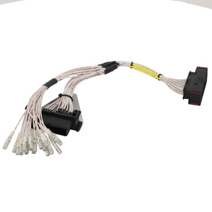 AGCO | Harness - Act0026340 - Farming Parts