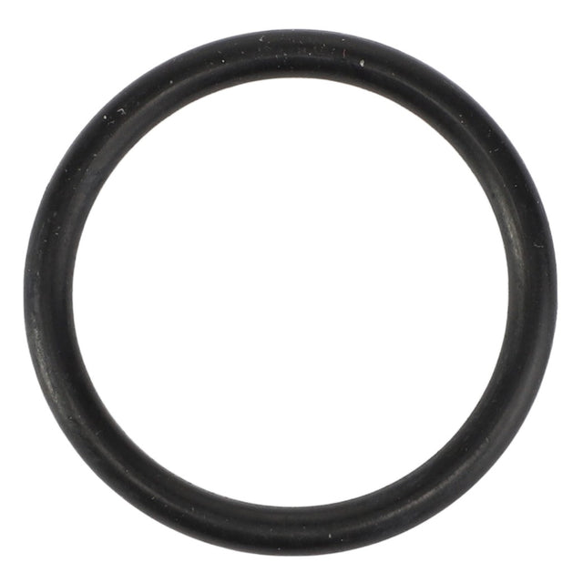 AGCO | O-Ring - 3005133X1 - Farming Parts