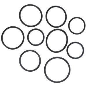 A collection of AGCO SEALS KIT - AL5036202 black rubber O-rings in various sizes is meticulously arranged on a pristine white background.