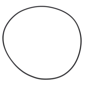 AGCO | O-Ring, Ø 179 X 3 Mm | AG-X549027001000