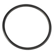 An AGCO O-Ring - 70923865, perfect for Fendt and Massey Ferguson models, rests against a white background.