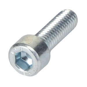 AGCO | SCREW - AL5004913