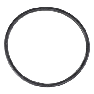 AGCO | O RING - E11329