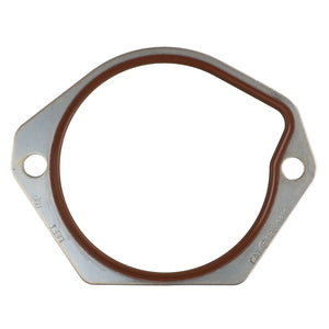 Introducing the AGCO SEAL - CH135-9819: a metal gasket featuring two small holes on each side and a rubber ring along the inside edge. Currently, no additional product description information is available.