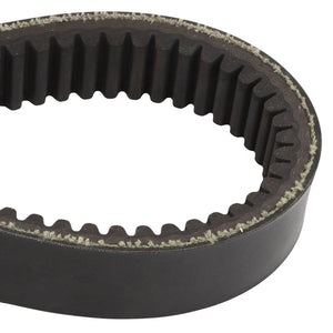 Close-up of the AGCO BELT - D41980900, a toothed, circular drive belt commonly used in machinery for power transmission. The inner surface features evenly spaced teeth. Product name: AGCO | BELT - D41980900 by the brand AGCO.