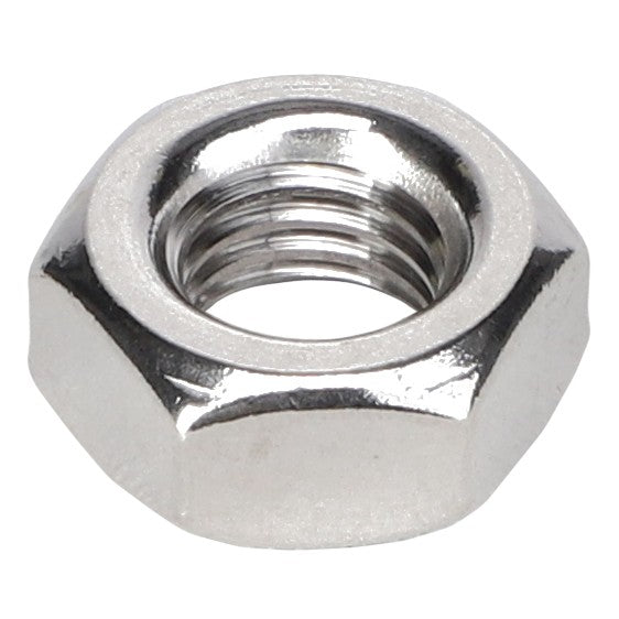 Close-up of an AGCO | NUT - E105155, a metallic hex nut commonly used as a fastening device with a threaded hole in the center.