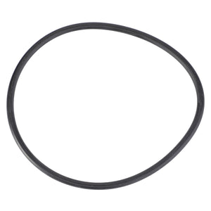 AGCO | O-Ring, Ø 93 X 4 Mm | AG-X548977566000