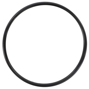 The AGCO O Ring - 3004908X1, a black rubber O-ring from the AGCO brand, is displayed on a white background. No current product description is available.