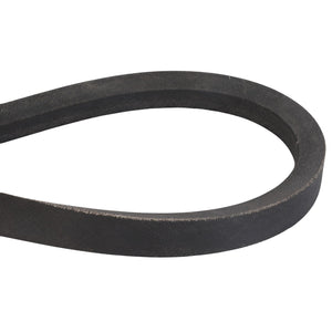 Close-up of an AGCO V BELT - D41986200 with a textured black rubber surface, forming a loop shape against a white background. No current information available.