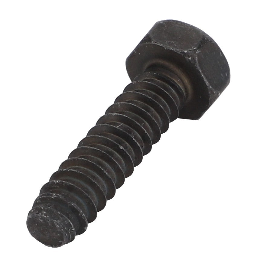 No current product description information is available for the AGCO | Hex Tapping Screw - Acw2920450, made of black metal with a threaded shaft, set against a white background.