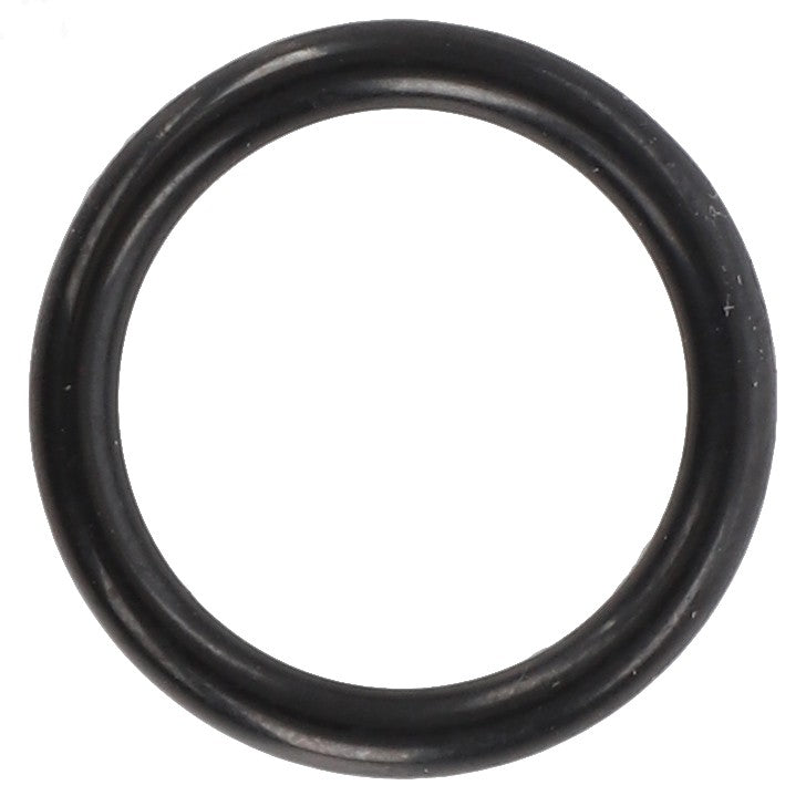 AGCO | O-RING - F916961020050