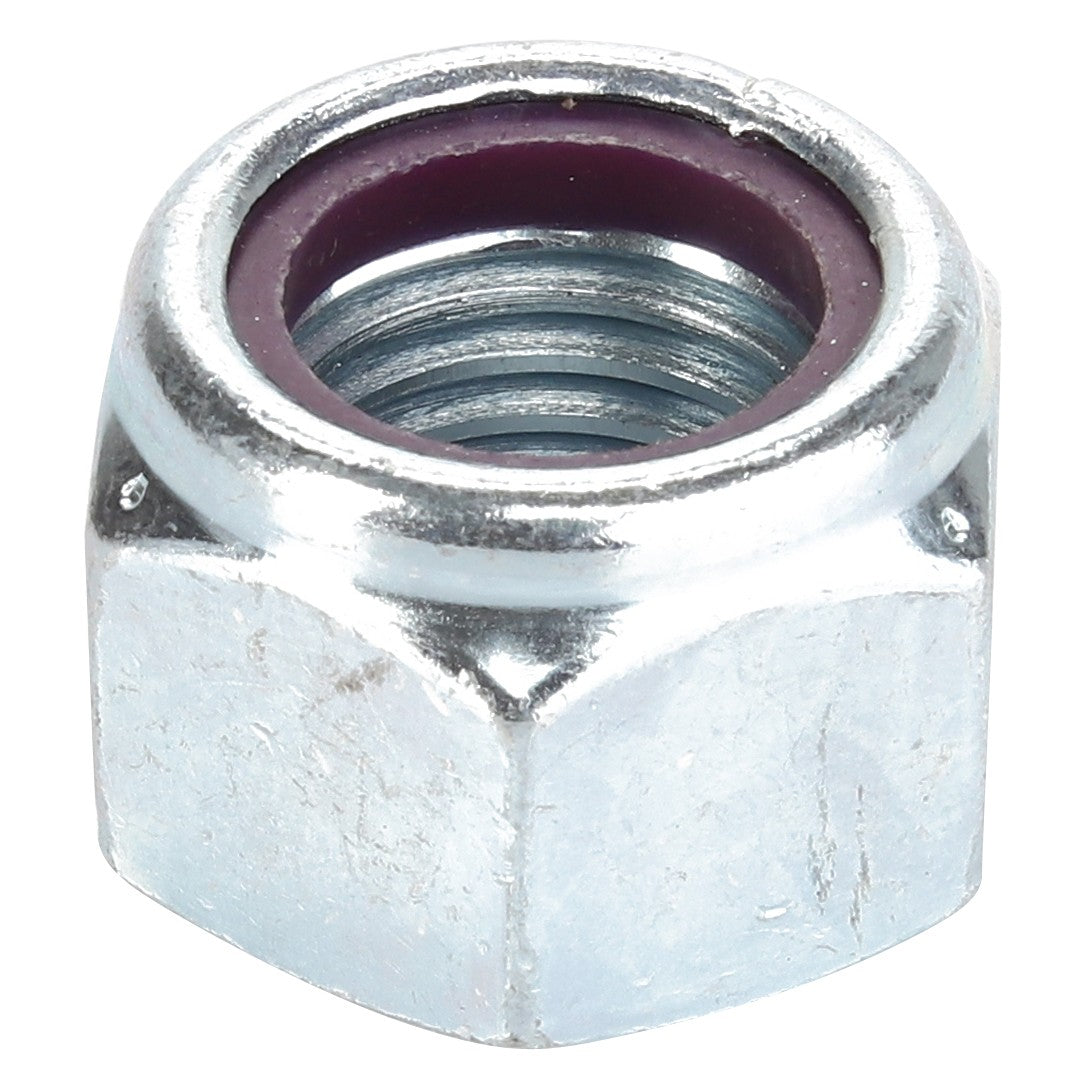 Close-up of the AGCO Locknut - Acp0021790 featuring an internal purple nylon ring. The metallic, six-sided piece stands out, though no detailed product description is available at the moment.