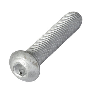 A close-up image of the AGCO Hex Socket Screw - Acw5118180 reveals its threaded body and flat, rounded top.