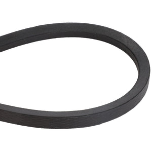 A close-up view of the AGCO | BELT - D41937600, a durable black rubber belt essential for various machinery and automotive applications.