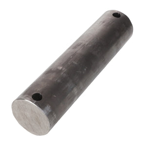 No Current Product Description Available: The AGCO Walk Beam Shaft - Acp0000170, a cylindrical metal rod with a smooth surface and a hole drilled through each end.