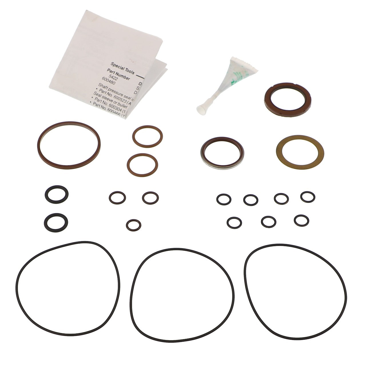 The AGCO SEAL KIT - AG714825, featuring an assorted set of O-rings, seals, a small tube of lubricant, and an instruction sheet, is carefully arranged on a light background. No current product description information available.