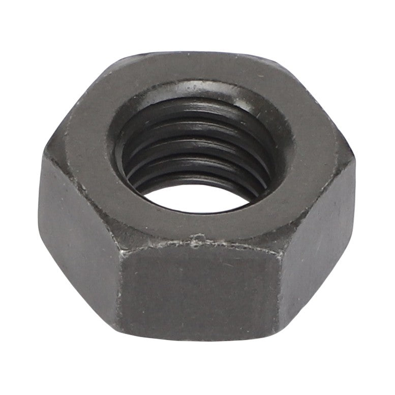 AGCO | Hex Nut | AG-3019862X1