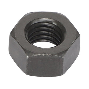 AGCO | Hex Nut | AG-3019862X1