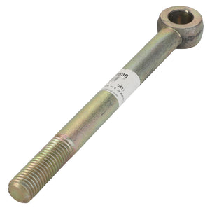 An AGCO | EYE BOLT - BD0830, metallic rod with a threaded end and a circular eye on the other end, featuring a label with no information available.