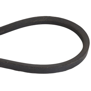 A durable black rubber V-belt, the AGCO | Belt - 795582M2 from AGCO, contoured in a sleek oval shape.