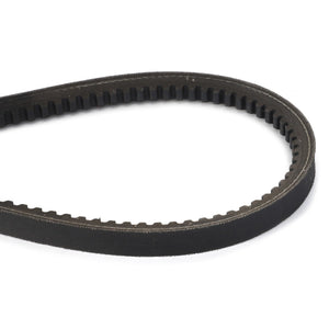 The AGCO Drive Belt, Hydrostatic Pump and Power Take-Off - D41904200, features a black rubber composition with a toothed inner surface, forming an oval loop for optimal performance and noise reduction.