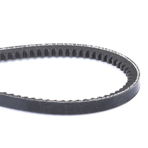 AGCO | V-Belt | AG-X696616102000