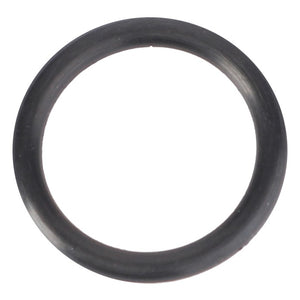 AGCO | O-Ring, Hydraulic Lift - 832268M1 - Farming Parts