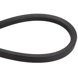 The AGCO V Belt (D41989100) is displayed in a coiled loop, crafted from black rubber. No current product description information is available.