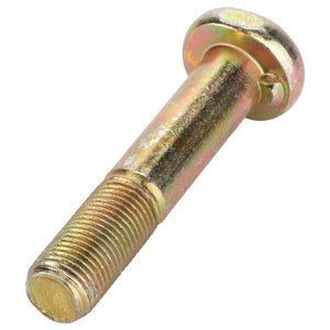 AGCO's Bolt - Acp0300930 is a single gold-colored metal bolt featuring a round head and a threaded end. No current product description available for further details.