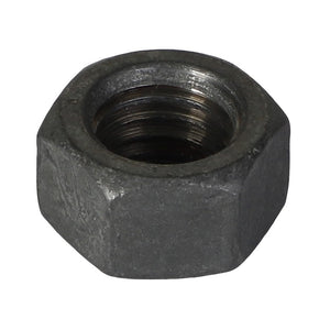 AGCO | HEX NUT - AG562538