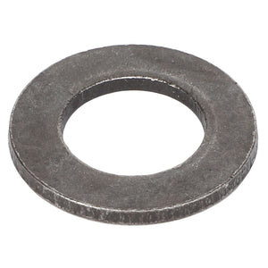 AGCO | FLAT WASHER - AG604203