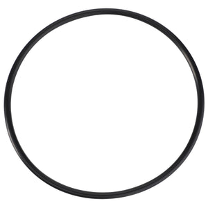 A high-performance black rubber O-ring from AGCO, specifically the Rangebox Flange model (Ø 79.50 x 3.00 mm - 3005538X1), is displayed in a circular shape against a white background.