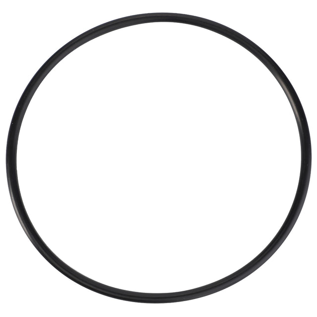 A high-performance black rubber O-ring from AGCO, specifically the Rangebox Flange model (Ø 79.50 x 3.00 mm - 3005538X1), is displayed in a circular shape against a white background.