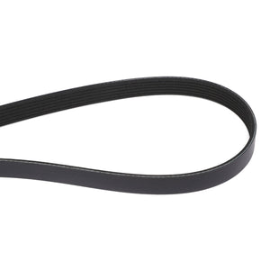 AGCO | Accessory Drive Belt - Acw1752870 - Farming Parts