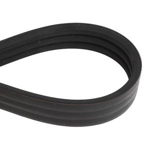 Close-up of the AGCO Belt - Acw2161720, a black, rubber serpentine belt used in automotive engines, highlighting its ribs and looped form.