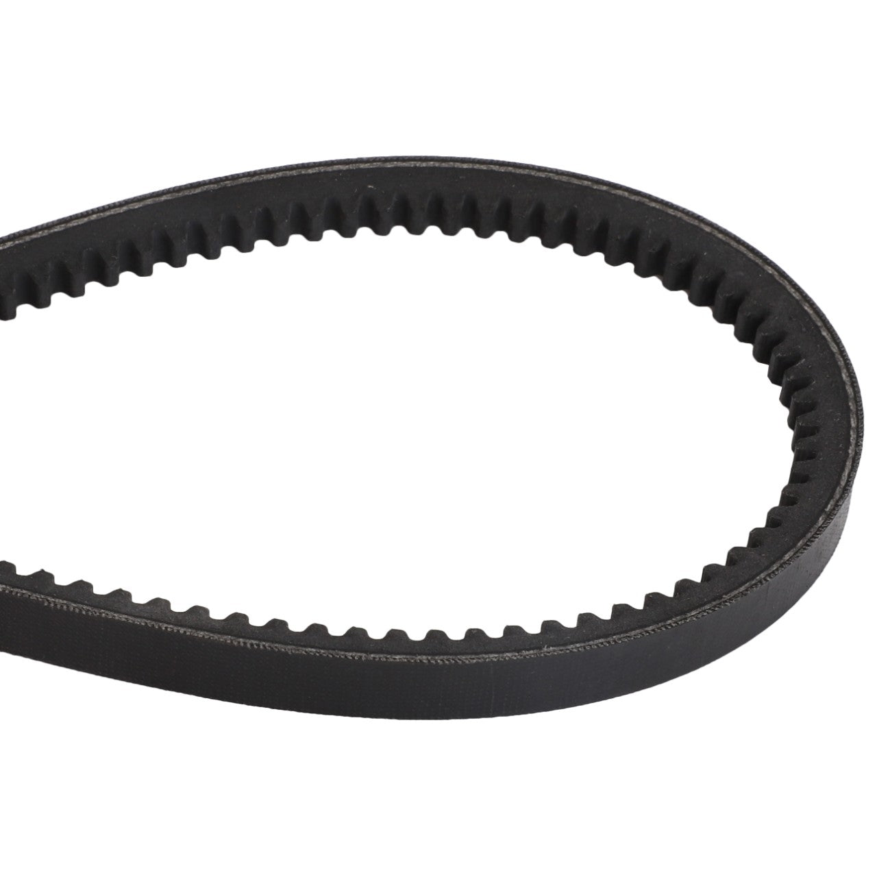 Close-up of an AGCO V BELT - D41991000, featuring a black toothed timing belt loop on a white background.