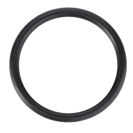 The AGCO O-Ring, Valve, Ø 28 X 3 Mm - X548881466000, from AGCO is displayed against a white background; it's a black circular O-ring ideal for Fendt Models Vario.