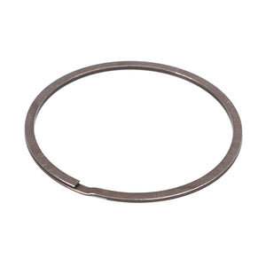 AGCO | Lamellar Ring - F934201100020 - Farming Parts