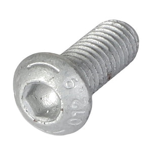 Close-up image of an AGCO Hex Socket Screw - Acw5118160 lying on a white background, with no additional information provided.