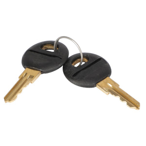 Two AGCO Cab Door Keys with black plastic heads, joined together by a metal ring. No current product description available.