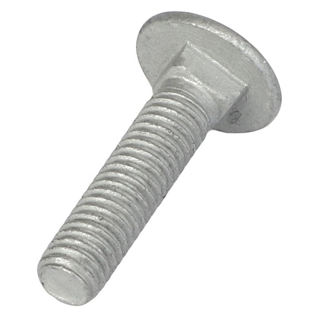 A threaded metal bolt with a flat, round head, specifically the AGCO Round Head Square Neck Carriage Bolt - Acw1059390, lies on a white background.