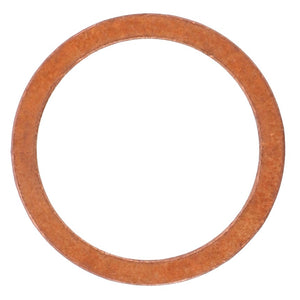 Introducing the AGCO | PACKING - D45201600, a circular, flat copper washer. It features a smooth, reflective surface and is manufactured by the reputable brand AGCO.