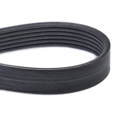 AGCO | Serpentine Belt, Kit With Accessories - Acp0250350 - Farming Parts