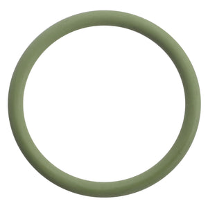 A straightforward, green circular ring from AGCO (O-Ring Seal - F530200710120) stands out on a crisp white background.