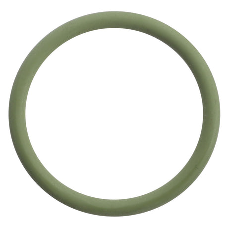 A straightforward, green circular ring from AGCO (O-Ring Seal - F530200710120) stands out on a crisp white background.