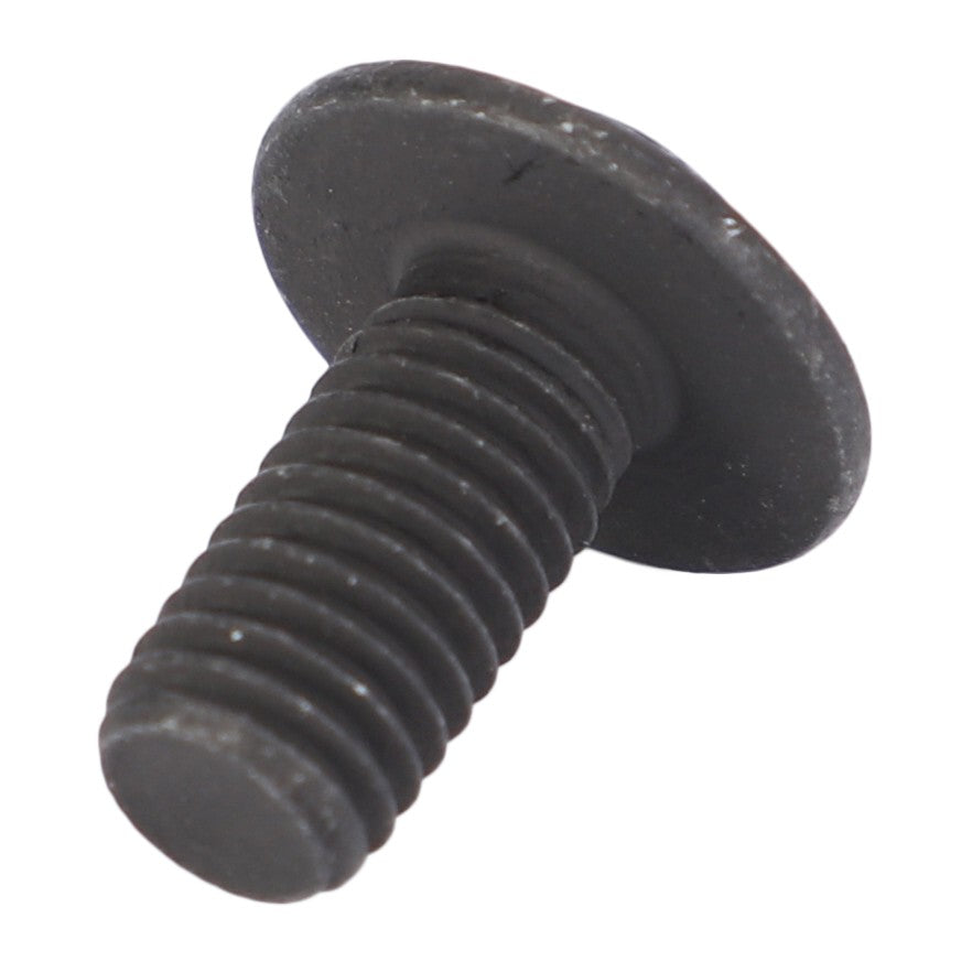 AGCO | Oval Head Screw - X466024301000 - Farming Parts