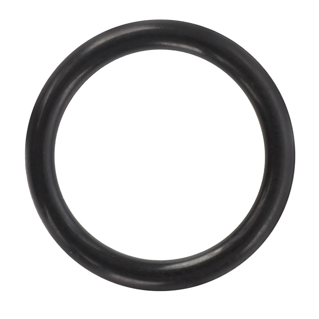 AGCO | O RING - AG425752