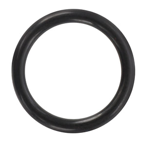 A pristine AGCO O-ring (model AG425752) in black rubber rests against a stark white background, highlighting its clean and simple design.